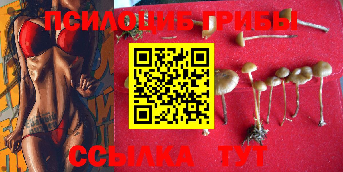 Псилоцибиновые грибы MAGIC MUSHROOMS  Вход с VPN  купить закладку  Строитель 